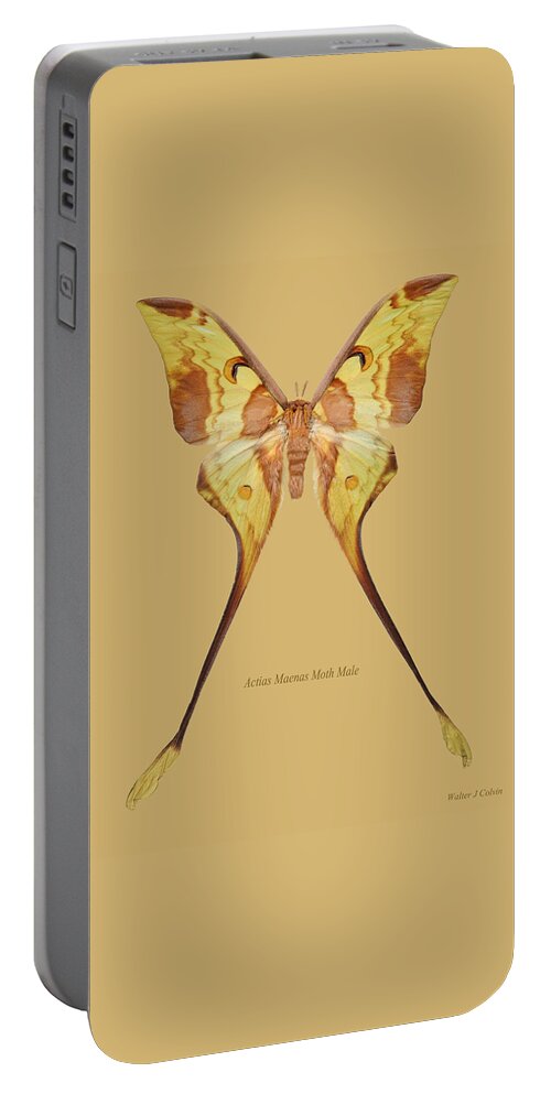 Actias Maenas Moth Male Portable Battery Charger featuring the digital art Actias Maenas Moth Male by Walter Colvin