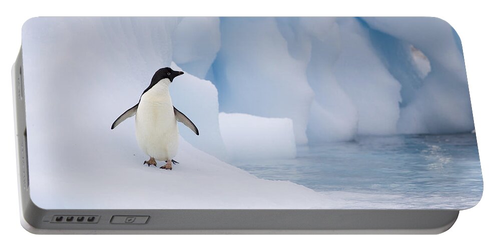 00761838 Portable Battery Charger featuring the photograph Adelie Penguin On Melting Iceberg by Suzi Eszterhas
