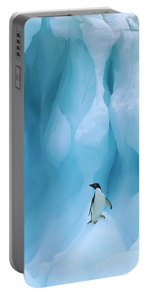 00260284 Portable Battery Charger featuring the photograph Adelie Penguin on Iceberg by Colin Monteath