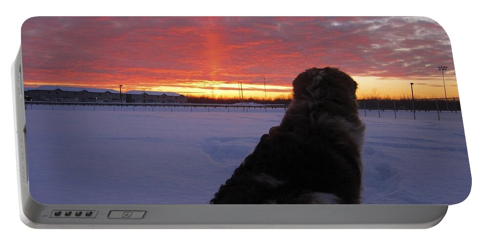 Winter Portable Battery Charger featuring the photograph Admiring the Sunset by Alanna DPhoto