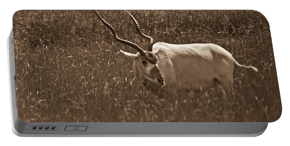 Africa Portable Battery Charger featuring the photograph African Grassland Feeder by Douglas Barnett