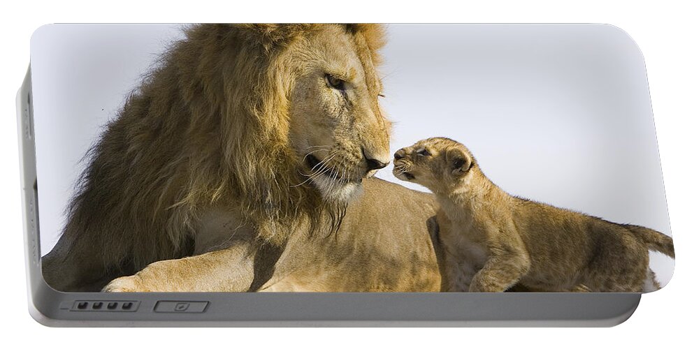 00761332 Portable Battery Charger featuring the photograph African Lion Cub Meets Father by Suzi Eszterhas