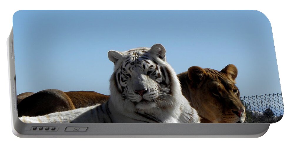 White Portable Battery Charger featuring the photograph Afternoon rest by Kim Galluzzo Wozniak