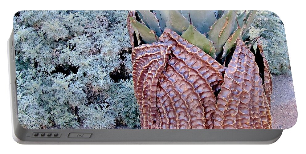 Agave Plant Portable Battery Charger featuring the photograph Agave Blues by Marilyn Smith