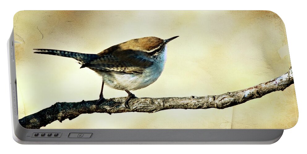 thryothorus Ludovicianus Portable Battery Charger featuring the photograph Aged Wren by Lana Trussell