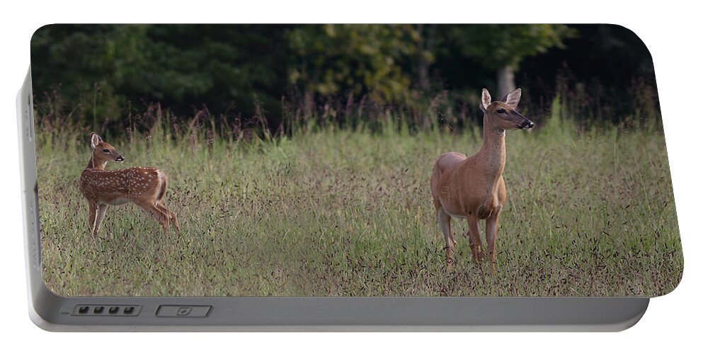 Odocoileus Virginanus Portable Battery Charger featuring the photograph Alert Doe And Fawn by Daniel Reed