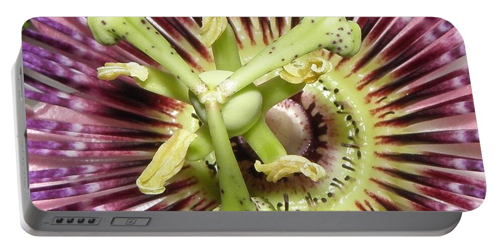 Passion Flower Portable Battery Charger featuring the photograph Alienated by Kim Galluzzo Wozniak