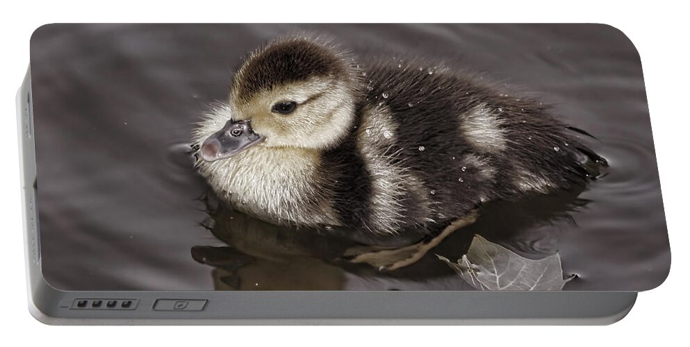 Duckling Portable Battery Charger featuring the photograph All By Myself by Deborah Benoit