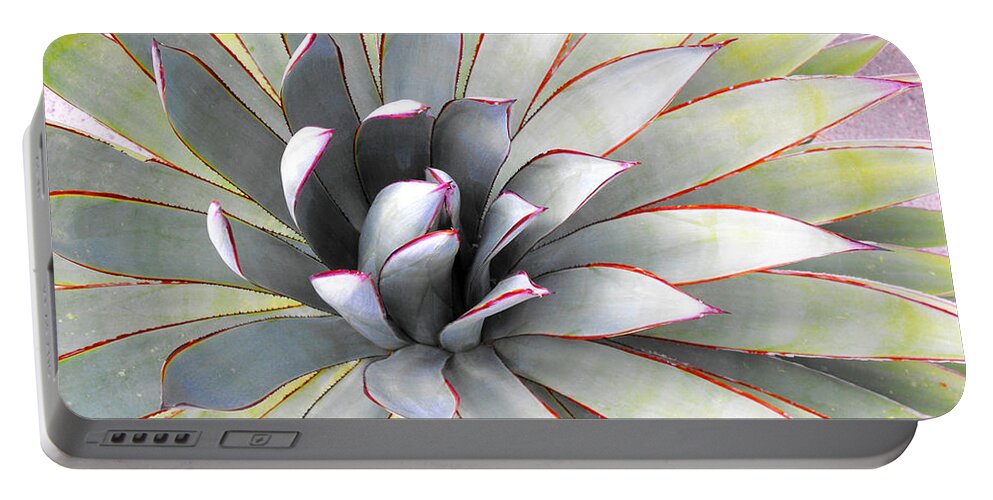 Aloe Portable Battery Charger featuring the photograph Aloe by Rebecca Margraf