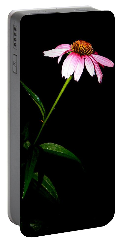 Purple Portable Battery Charger featuring the photograph Alone At Night by Kim Galluzzo