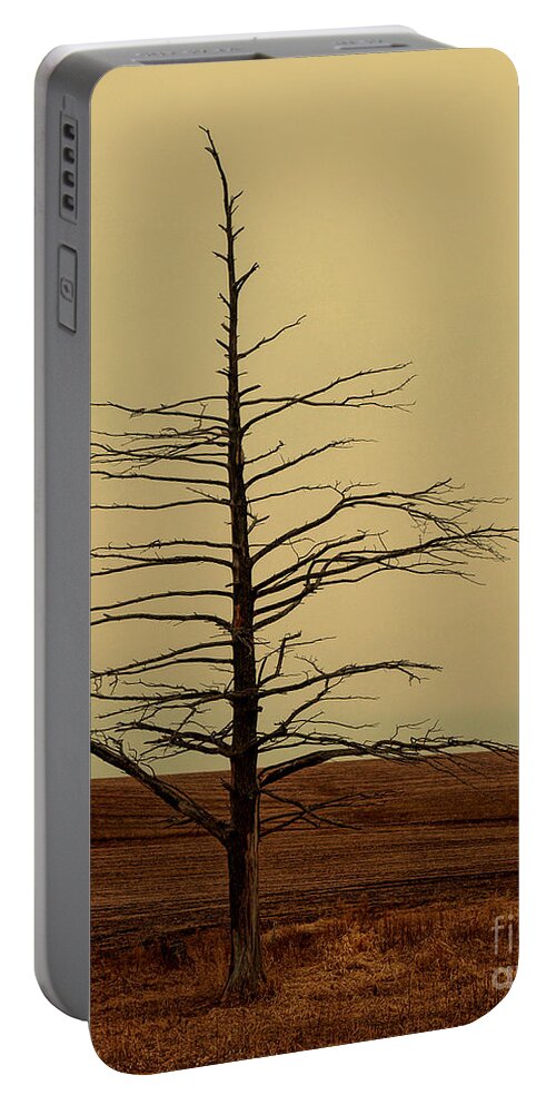 Tree Portable Battery Charger featuring the photograph Alone On A Hill by Terry Doyle