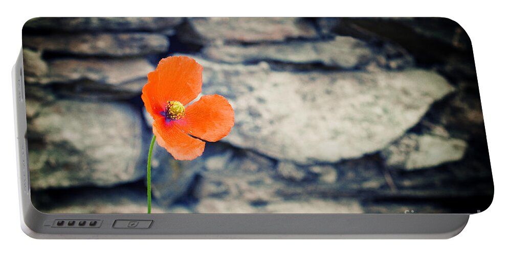 Flower Portable Battery Charger featuring the photograph Alone by Silvia Ganora