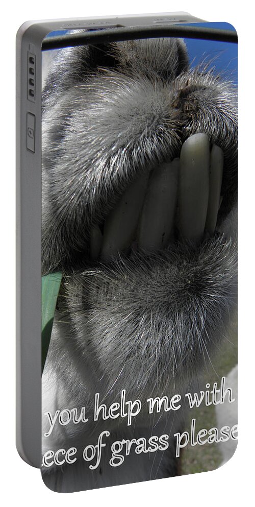 Alpaca Portable Battery Charger featuring the photograph Alpaca funnies by Kim Galluzzo Wozniak