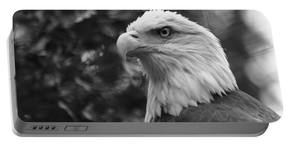 Zoo Portable Battery Charger featuring the photograph American Bald Eagle by David Rucker