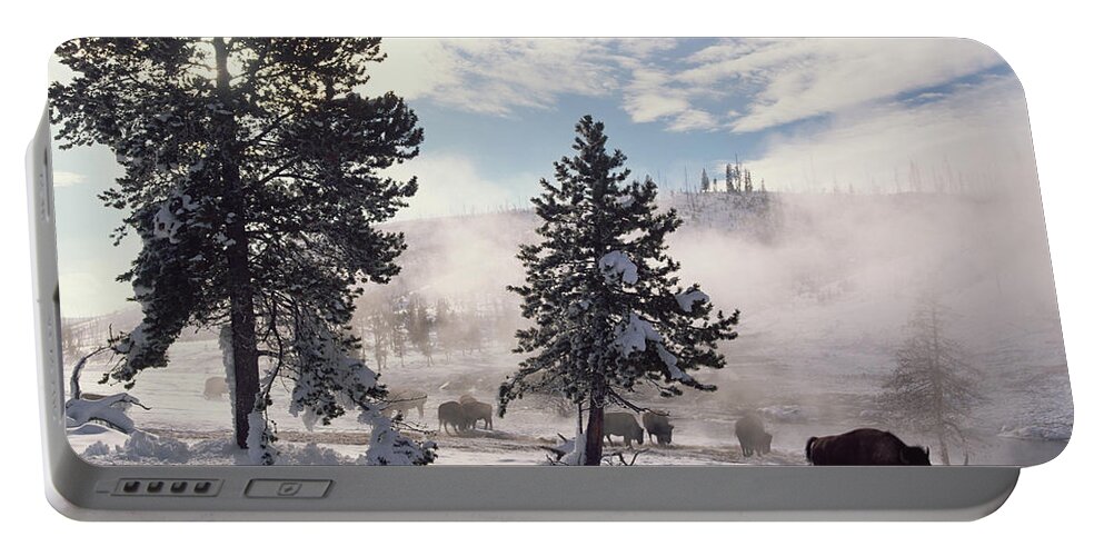 00174314 Portable Battery Charger featuring the photograph American Bison In Winter Yellowstone by Tim Fitzharris