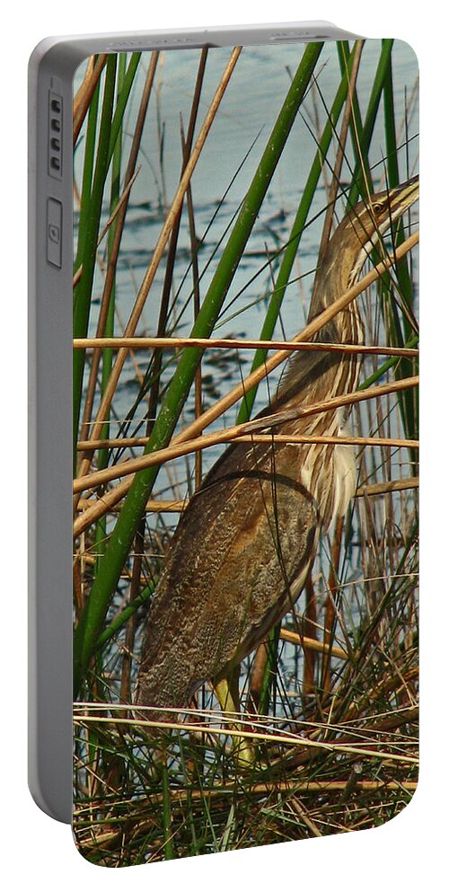 Nature Portable Battery Charger featuring the photograph American Bittern by Peggy Urban