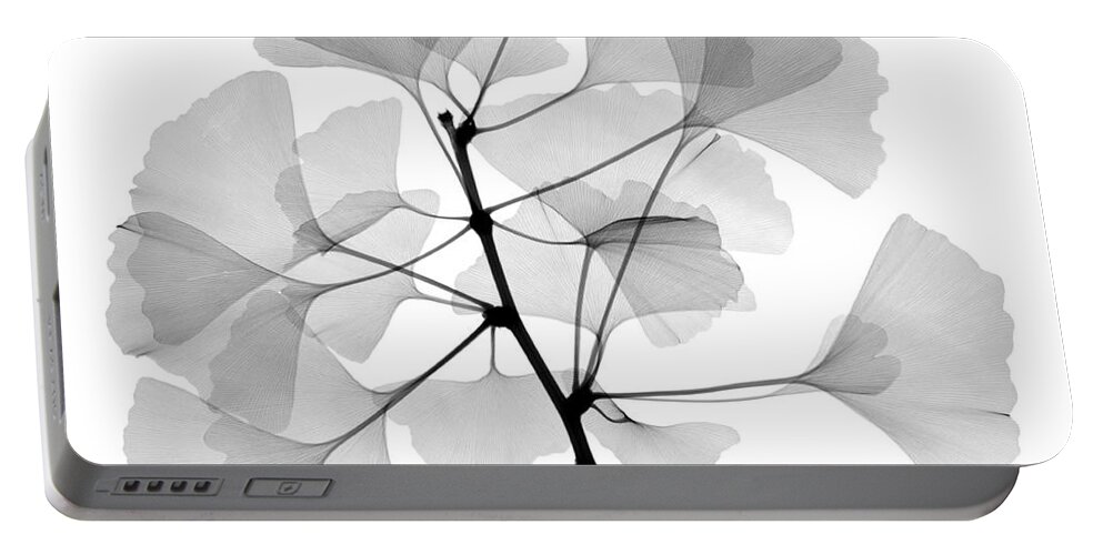 Xray Portable Battery Charger featuring the photograph An X-ray Of Ginko Leaves by Ted Kinsman