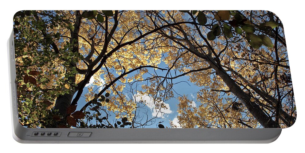 Scenery Portable Battery Charger featuring the photograph Arch To The sky by Barbara McMahon