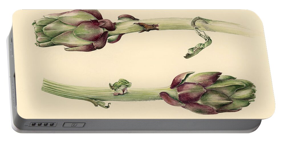 Artichoke; Bulb; Bulbs; Vegetable; Study; Artichokes; Vegetables Portable Battery Charger featuring the painting Artichokes by Alison Cooper