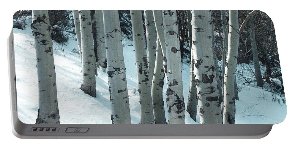 Winter Aspen Portable Battery Charger featuring the photograph Aspen have Eyes by L J Oakes