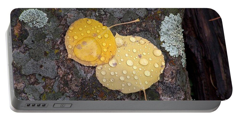 Aspen Leaves Portable Battery Charger featuring the photograph Aspen Tears by Dorrene BrownButterfield