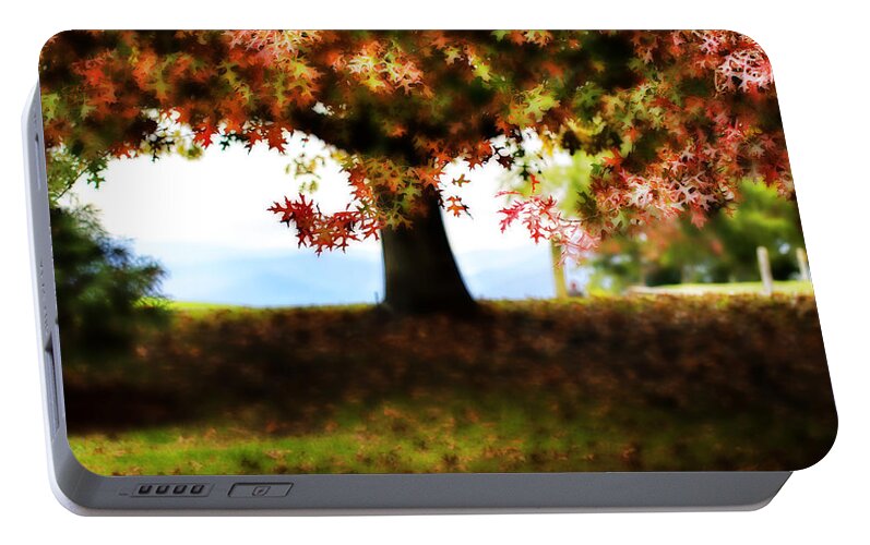 Autumn Portable Battery Charger featuring the photograph Autumn Acorn Tree by Douglas Barnard