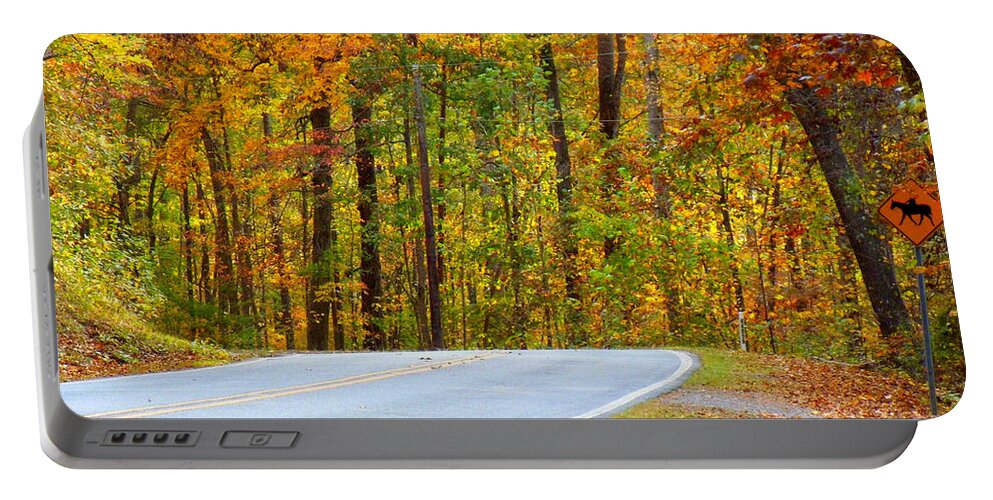 Autumn Portable Battery Charger featuring the photograph Autumn Drive by Lydia Holly