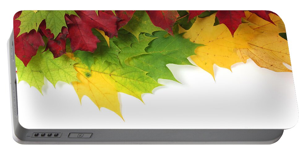Autumn Portable Battery Charger featuring the photograph Autumn leaves in colour by Simon Bratt
