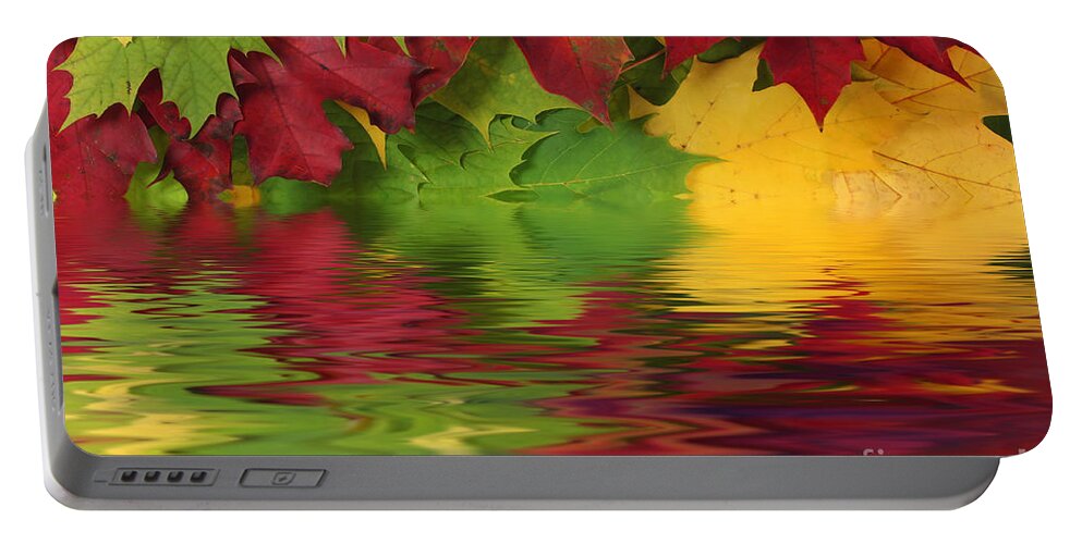 Leaves Portable Battery Charger featuring the photograph Autumn leaves in water with reflection by Simon Bratt