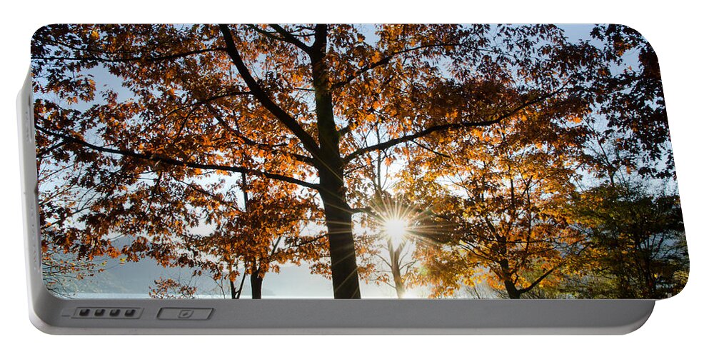 Autumn Portable Battery Charger featuring the photograph Autumn trees by Mats Silvan
