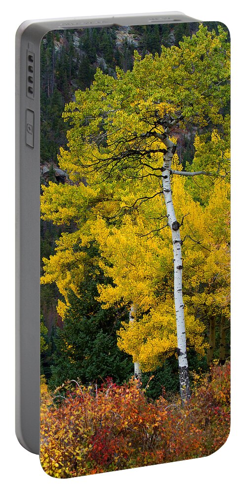 Autumn Colors Portable Battery Charger featuring the photograph Autumn Wonder by Jim Garrison