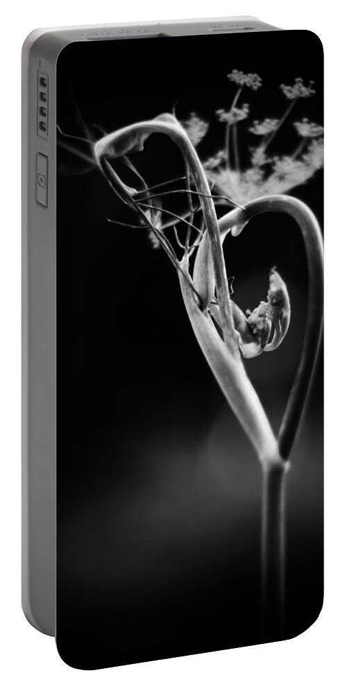 B Portable Battery Charger featuring the photograph B is for Bronze Fennel by Rebecca Sherman