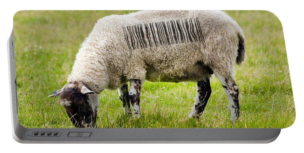 Sheep; Bar Code; Baaa Code; Ovine; Lamb; Silly; Funny; Humor; Humourous; Humorous; Fun;fun Image; Scrart Portable Battery Charger featuring the photograph Baaaa code by Steev Stamford