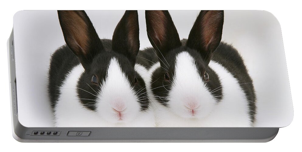 Black-and-white Dutch Rabbit Portable Battery Charger featuring the photograph Baby Black-and-white Dutch Rabbits by Jane Burton