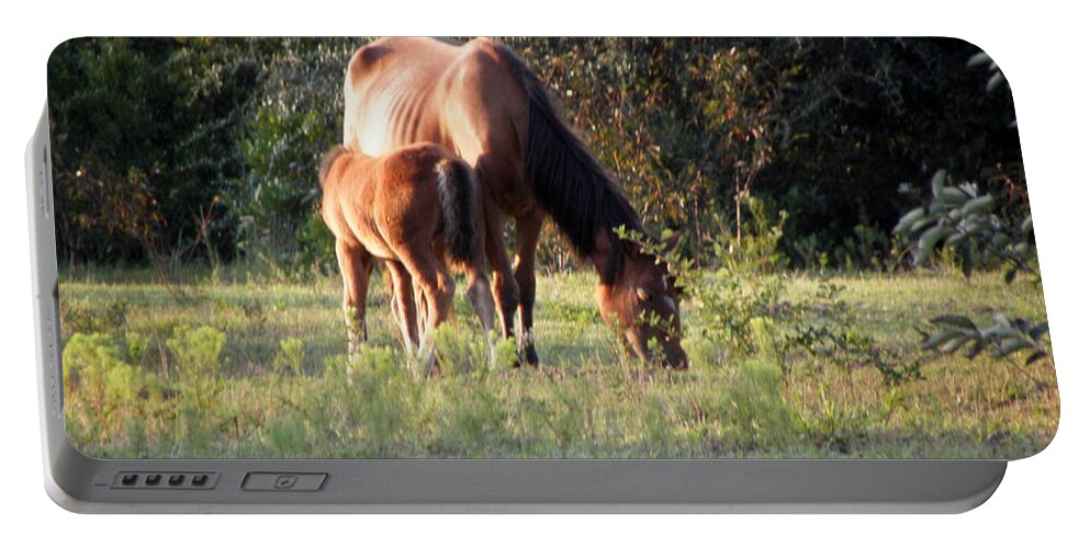 Mustangs Portable Battery Charger featuring the photograph Baby Feeding From Mom While She Grazes In The Grass by Kim Galluzzo