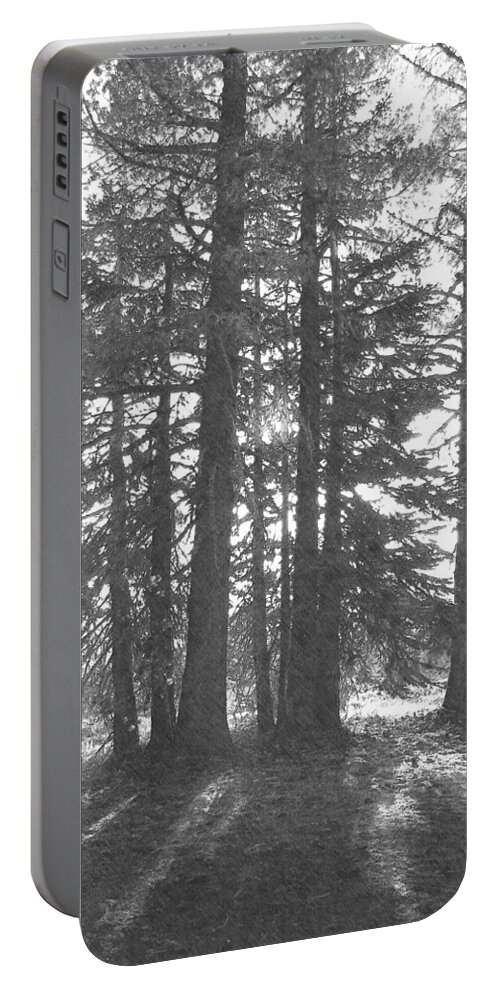 Pencil Portable Battery Charger featuring the photograph Backlit Trees by Frank Wilson