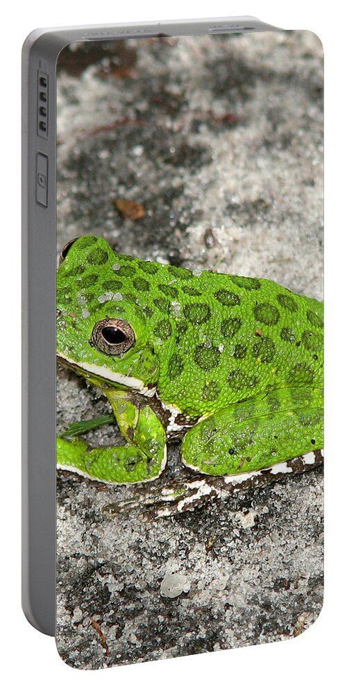 Nature Portable Battery Charger featuring the photograph Barking Tree Frog by Peggy Urban