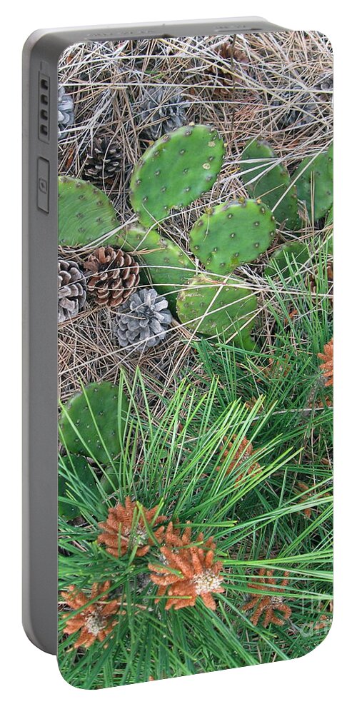  Beach Cactus Portable Battery Charger featuring the photograph Beach Cactus in the Pines by Nancy Patterson