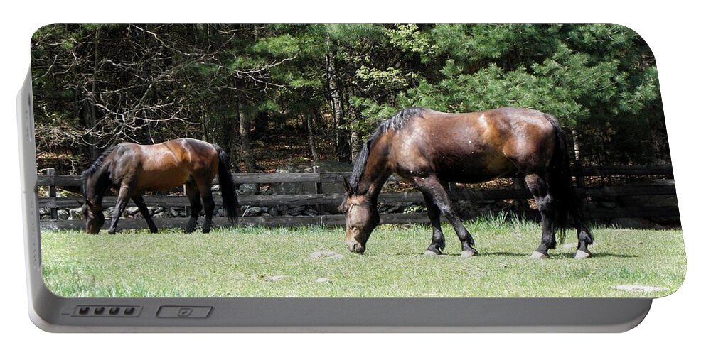 Horse Photography Portable Battery Charger featuring the photograph Beautiful Geldings Grazing by Kim Galluzzo Wozniak