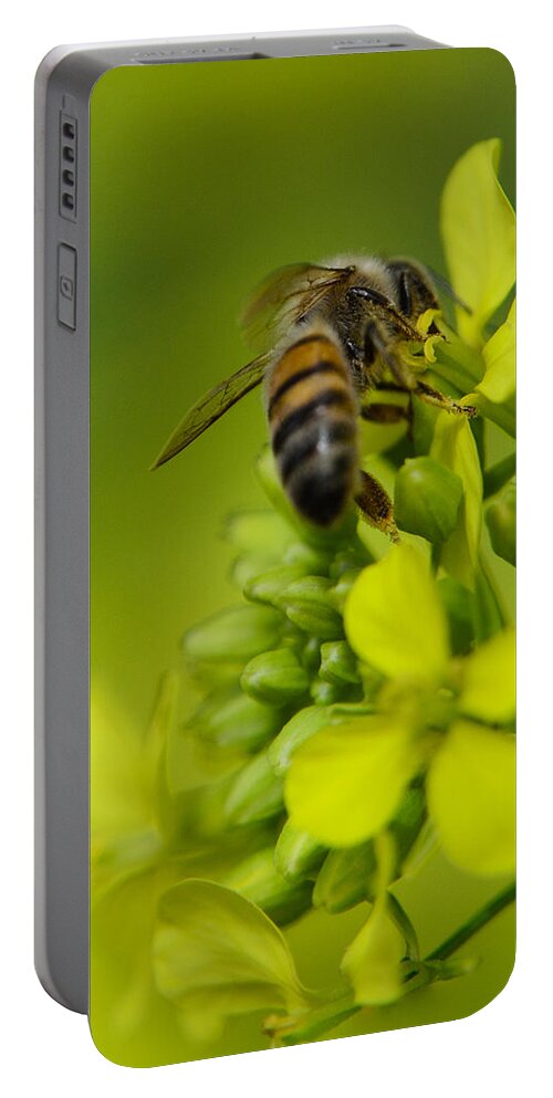Background Portable Battery Charger featuring the photograph Bee on a yellow background by Michael Goyberg