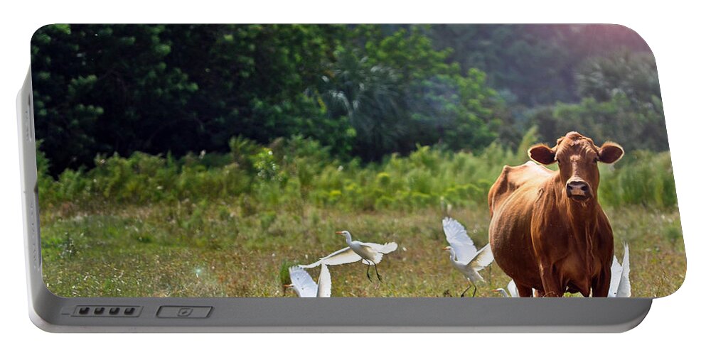 Cow Portable Battery Charger featuring the photograph Bessy by Tammy Lee Bradley