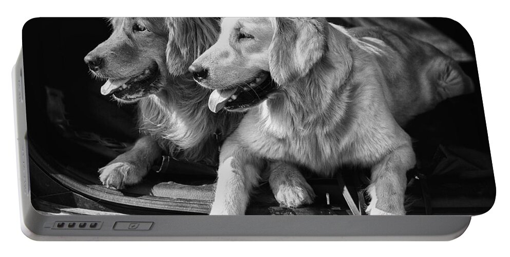 Dogs Portable Battery Charger featuring the photograph Best Buddies by Eunice Gibb