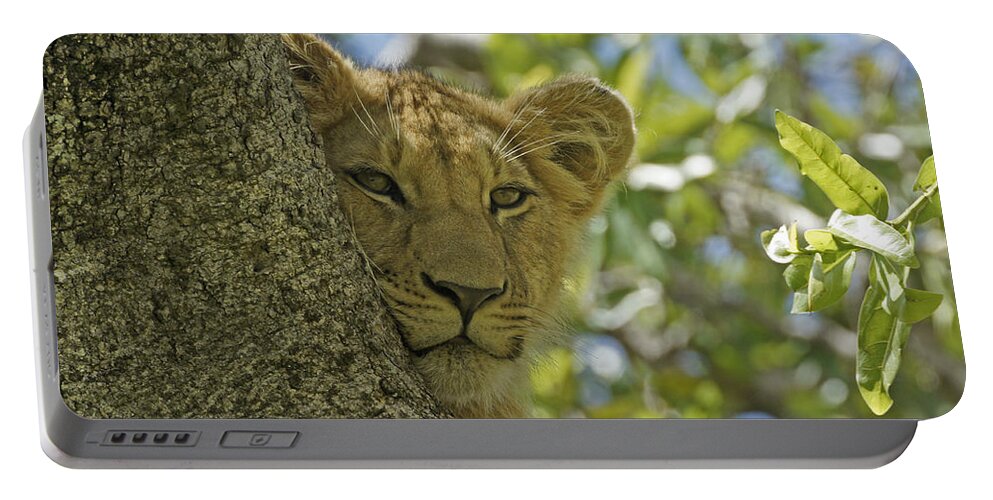 Africa Portable Battery Charger featuring the photograph Biding My Time by Michele Burgess