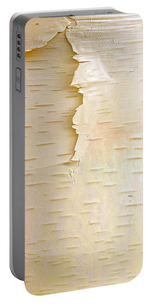 Mp Portable Battery Charger featuring the photograph Birch Betula Sp Close Up Of Tree Trunk by Tim Fitzharris