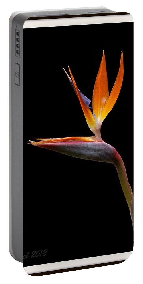 Flower Portable Battery Charger featuring the photograph Bird of Paradise by Farol Tomson
