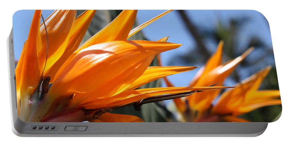 Wildflowers Portable Battery Charger featuring the photograph Bird of Paradise Flowers by Teresa Zieba