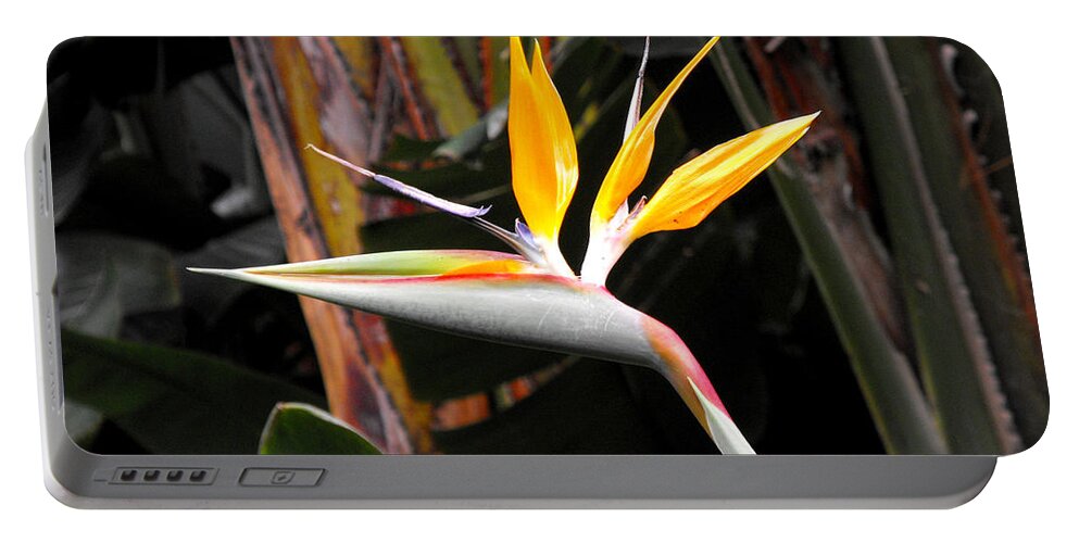 Bird Of Paradise Portable Battery Charger featuring the photograph Bird of Paradise by Rebecca Margraf