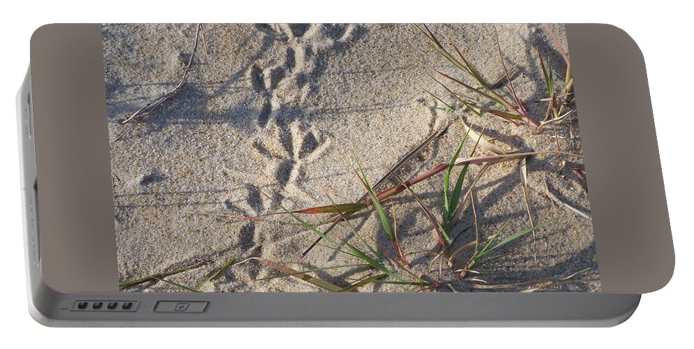 Landscape Photography Portable Battery Charger featuring the photograph Bird Prints by Kim Galluzzo