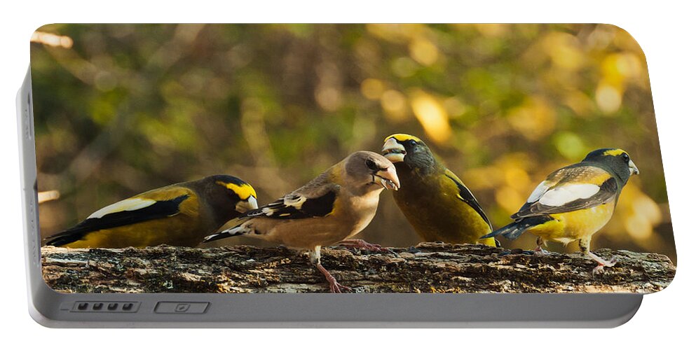 Grosbeaks Portable Battery Charger featuring the photograph Birds of Yellow by Cheryl Baxter