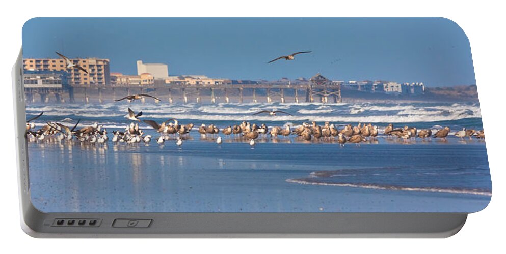 Birds Portable Battery Charger featuring the photograph Birds Only Beach by Ed Gleichman